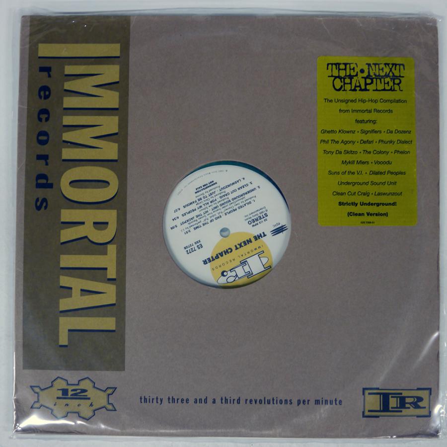 US盤 VA/THE NEXT CHAPTER/IMMORTAL E2S7270S1 LP : Face Records - 通販 ...