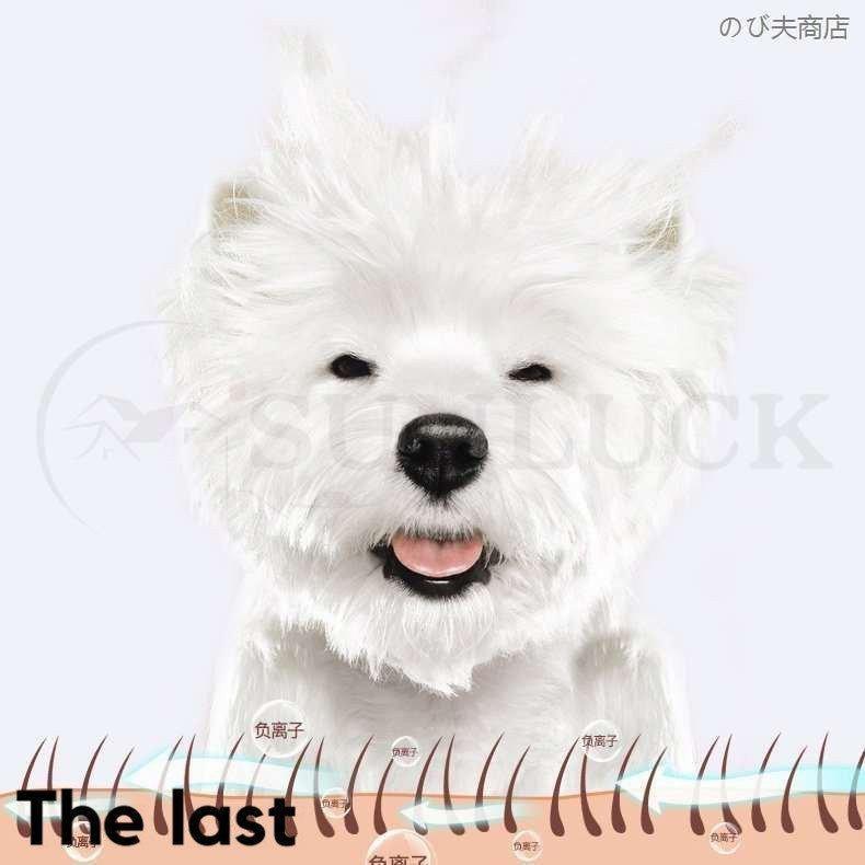 ペット乾燥箱 乾燥ハウス ドライルーム 全自動 ドライヤーを嫌がるうちの子のために 静かに乾かせる 犬 猫 完全密閉 0cm