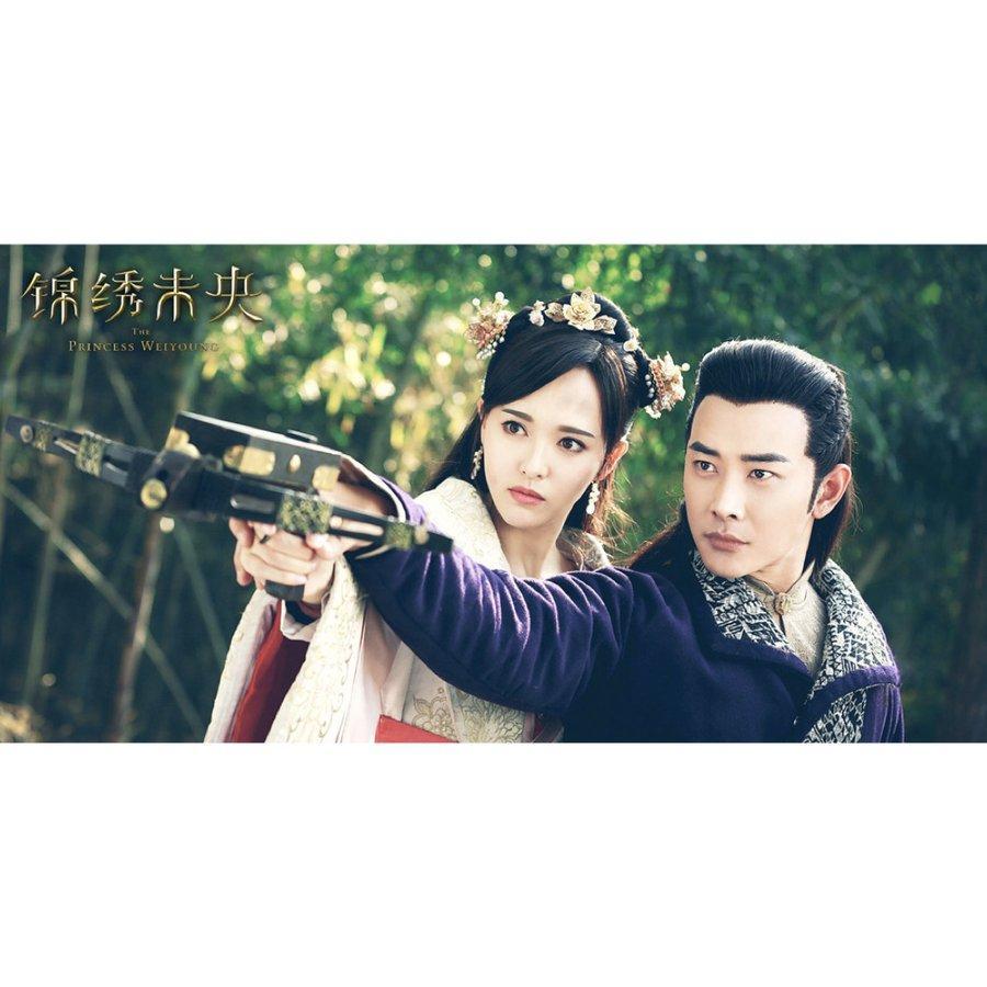 中国ドラマ「王女未央」中国版DVDルオジン主演！ 王女未央