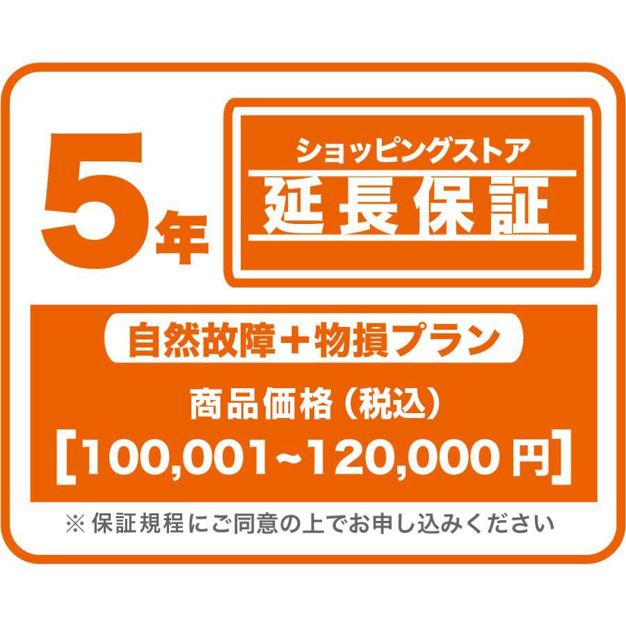 ECOVACS（エコバックス） ショッピングストア延長保証（自然故障+物損
