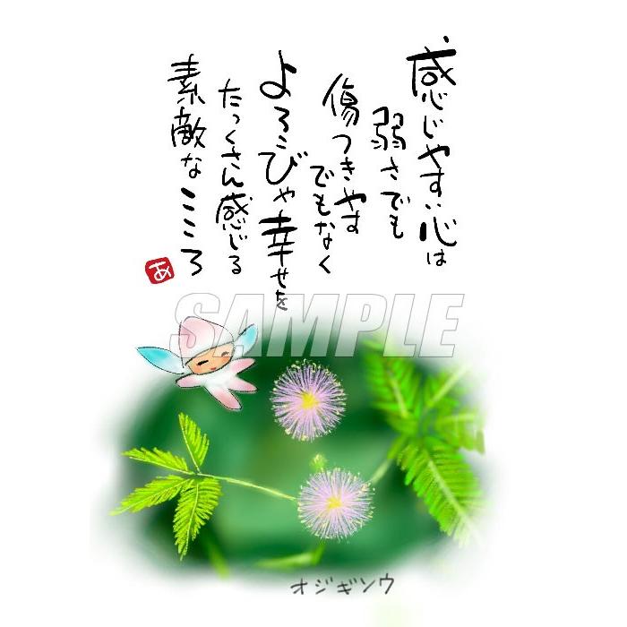 スミレとぉちゃんのメッセージはがき 花シリーズ オジギソウ メール便対応 葉書 和製はがき ポストカード メッセージカード 癒し 和み 言葉 絵 16 Hana011 名前詩と花エクリチュール 通販 Yahoo ショッピング