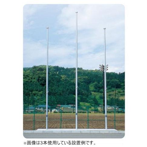 最安値で ルイ高 Rt E フラッグポール ロープ式 ベース型 12m 規格 高さ12m 重量72kg 設備 備品 Www Ja Kitakyu Or Jp