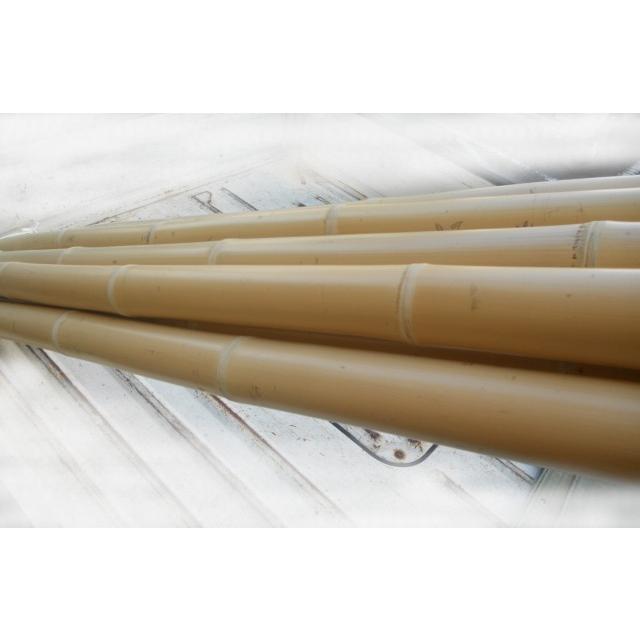 BAMBOO_NM5_350 棒引き用竹 直径約5cm×長さ約3.5〜3.9m【1本】 規格
