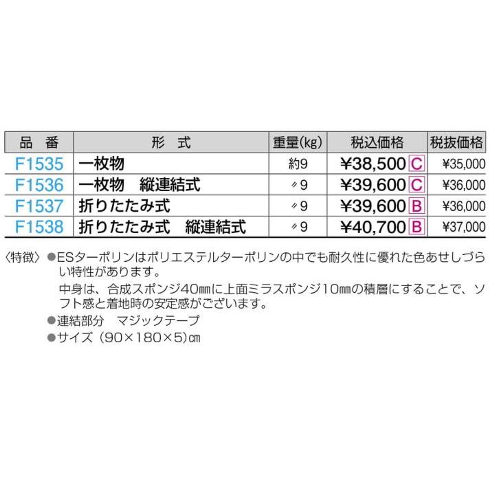 F1537 ＥＳターポマットＭＳＰ 折式 ９０ｘ１８０ｘ５ 規格：重量（kg）：9の画像