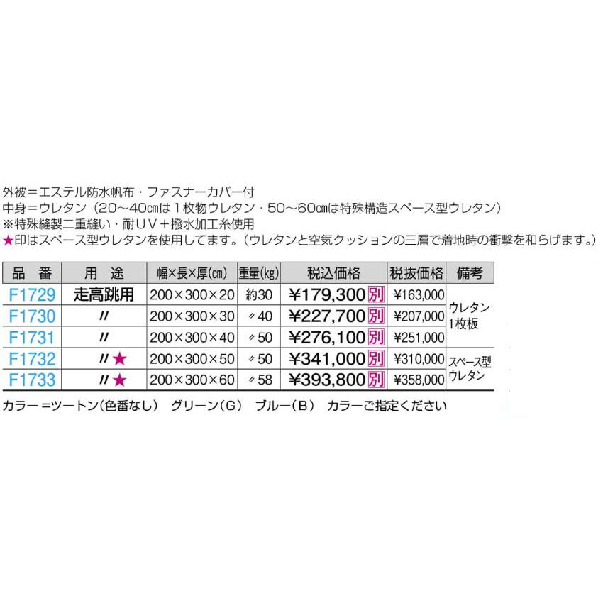 F1733 屋内外兼用エバーマット  ２００ｘ３００ｘ６０ 規格：重量（kg）：58の画像