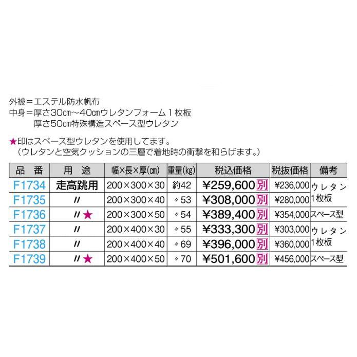 F1738 三つ折り式エバーマット（室内・屋外兼用） ２００ｘ４００ｘ４０ 規格：重量（kg）：69の画像