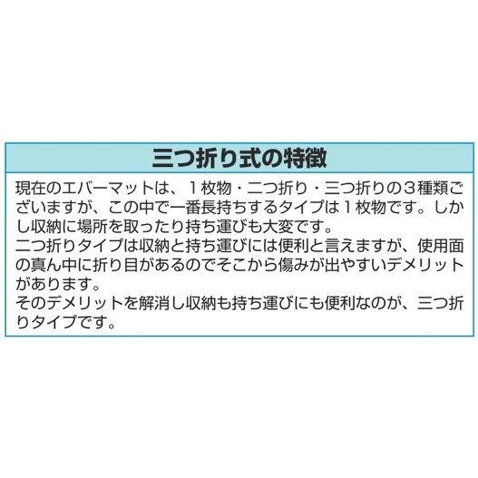 F1738 三つ折り式エバーマット（室内・屋外兼用） ２００ｘ４００ｘ４０ 規格：重量（kg）：69の画像