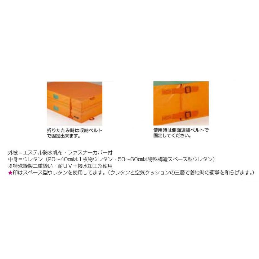 F1742 屋内外兼用エバーマット折式 ２００ｘ３００ｘ５０ 規格：重量（kg）：51の画像