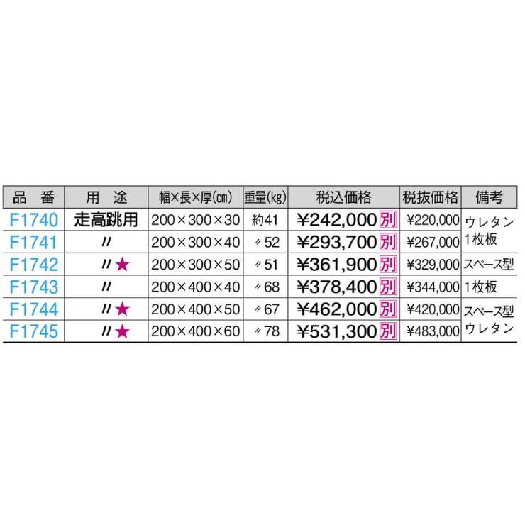 F1742 屋内外兼用エバーマット折式 ２００ｘ３００ｘ５０ 規格：重量（kg）：51の画像