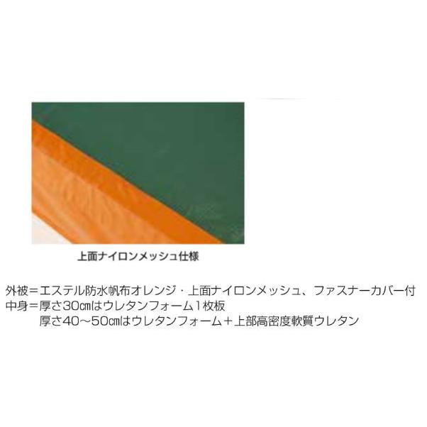 F1752 メッシュ付エバーマット（屋外用）  ２００ｘ３００ｘ５０ 規格：重量（kg）：61の画像