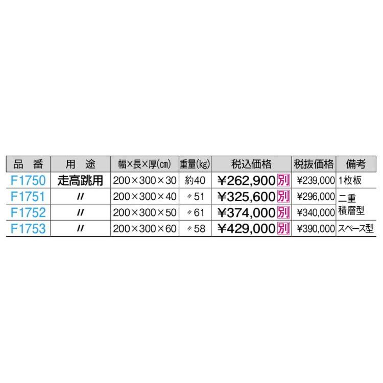 F1752 メッシュ付エバーマット（屋外用）  ２００ｘ３００ｘ５０ 規格：重量（kg）：61の画像