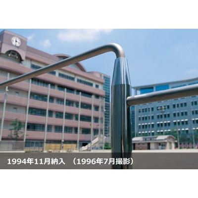 RT-E120200 低鉄棒 3連SUS（平行タイプ）の画像