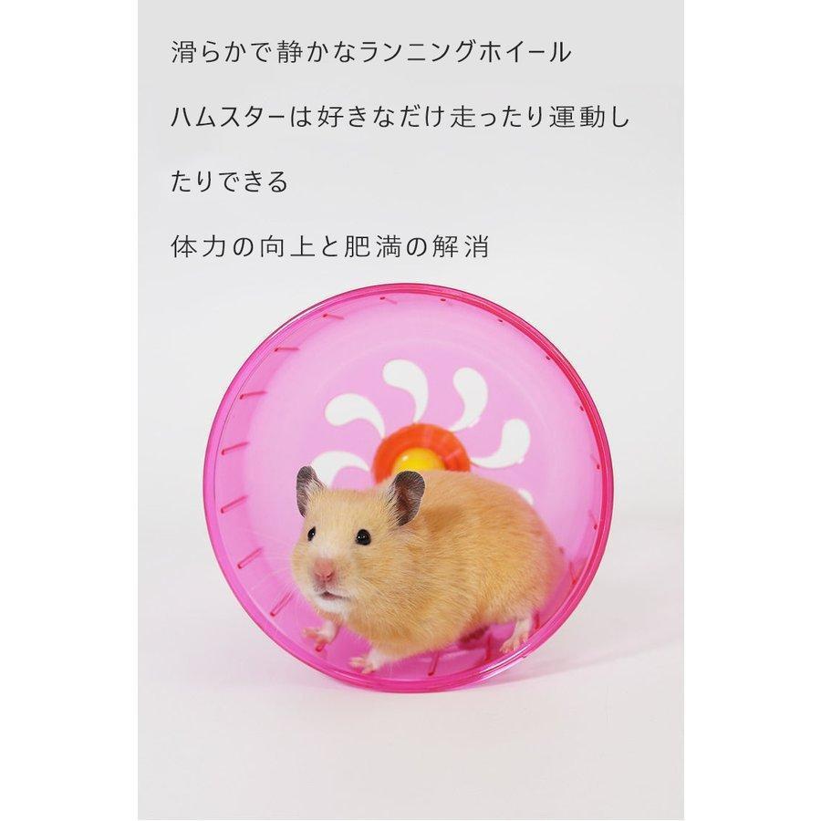 ハムスター ケージ 広い 鳥かご バードゲージ ハウス 小屋 籠 かご 大きい スターターキット ハムスターケージ 小動物 ゴールデン ジャンガリアン リス 