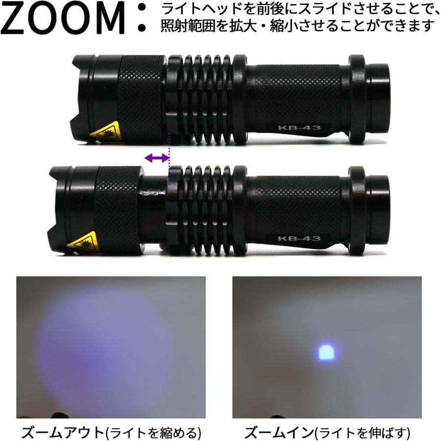 小型UVライト アニサキスライト ブラックライト 365nm 乾電池式