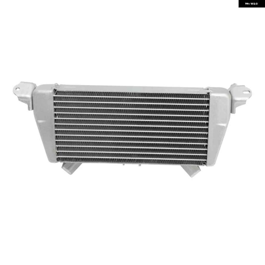 並行輸入品 シルバー オイルクーラー 冷却 ラジエーター BMW M1000RR 2021-2022 S1000XR 2020-2023 S1000RR 2019 2024の画像