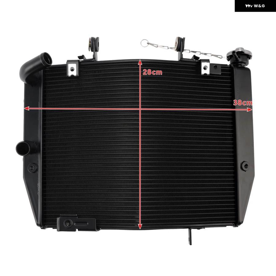 並行輸入品ラジエーター 冷却 エンジン クーラーストリートトリプル765 R RS 2020-2022 2021_1