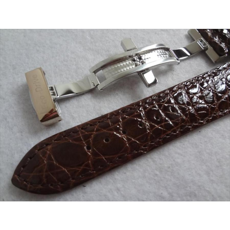 Citizen 純正 24mm ベルト クロコダイル革 レザーバンド 茶 茶色/白