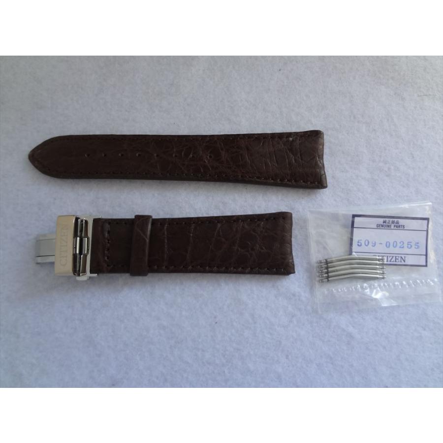Citizen Eco-Drive 純正ベルト 24mm クロコダイル革 レザーバンド 茶