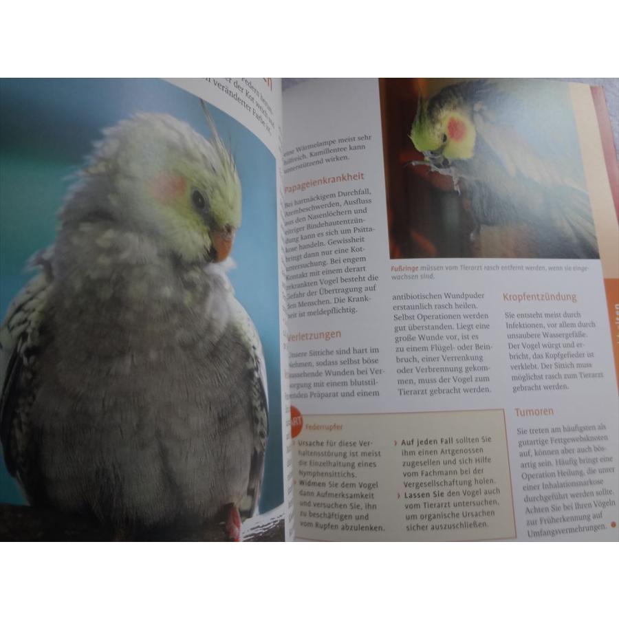 ドイツ語 洋書 オカメインコ 鳥 Nymphensittiche Zaertlich clever fit