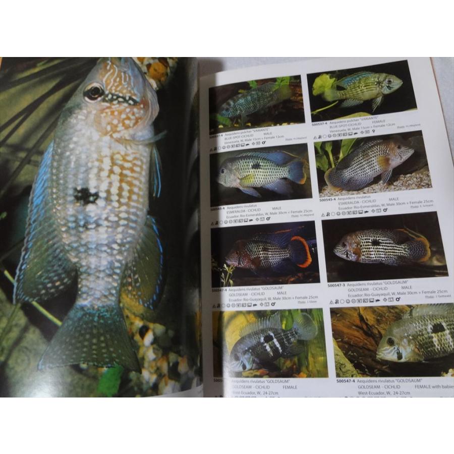 洋書 Aqualog South american cichlids III アメリカン シクリッド