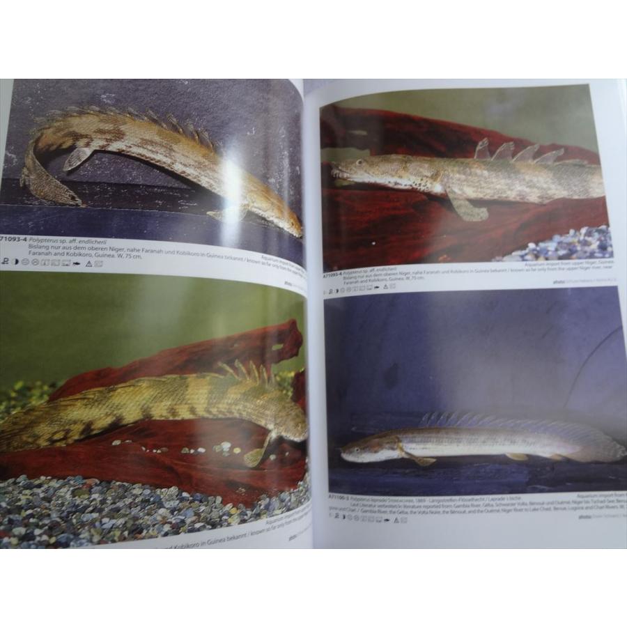 洋書 Aqualog Polypterus Flosselhechte Bichirs ポリプテルス 古代魚 本｜ecwide｜05