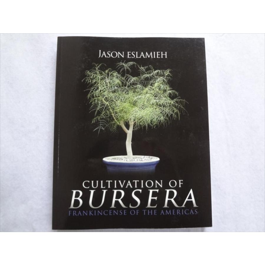 Web限定 洋書 ブルセラ 写真集 植物 図鑑 Cultivation Of Bursera 開店祝い Nicmosul Org
