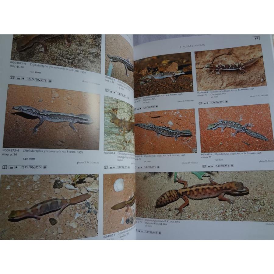 洋書 テラログ Terralog オーストラリアのヤモリ Geckos of Australia 爬虫類 本 : awa28267 : パーツワイド - 通販 - Yahoo!ショッピング 洋書 テラログ Terralog オーストラリアのヤモリ Geckos of Australia 爬虫類 本 : awa28267 : パーツワイド - 通販 - Yahoo!ショッピング