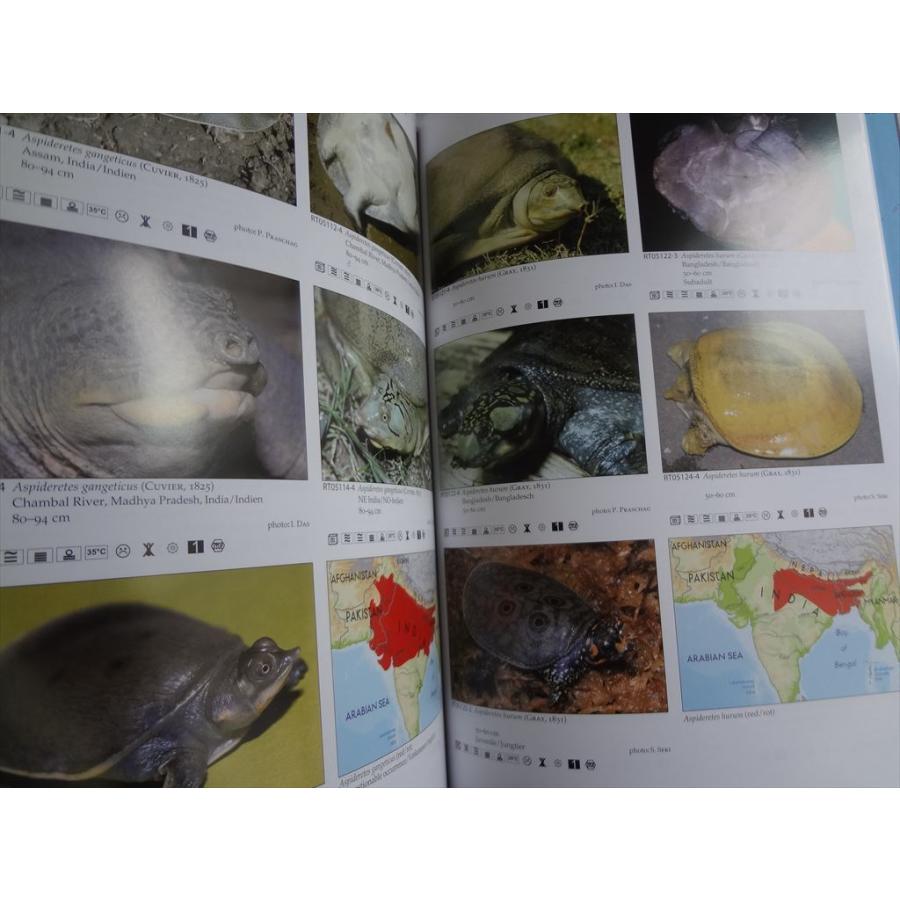 洋書 テラログ Terralog 世界の亀 Turtles of the World Vol.4 東 南