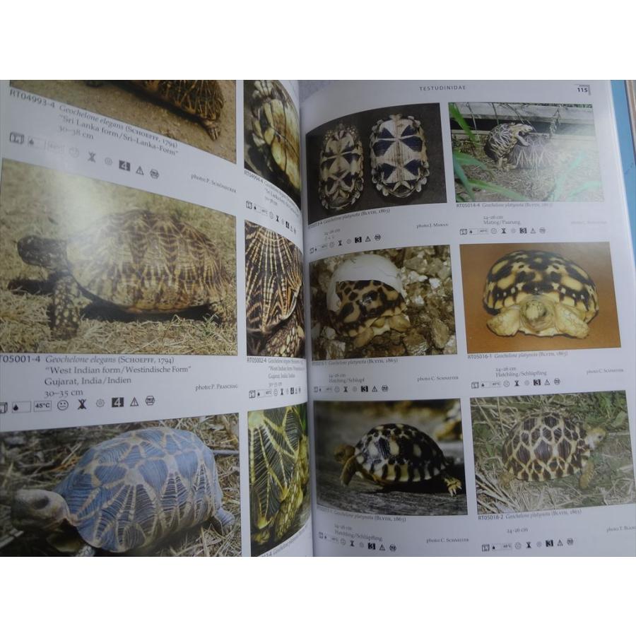 洋書 テラログ Terralog 世界の亀 Turtles of the World Vol.4 東 南