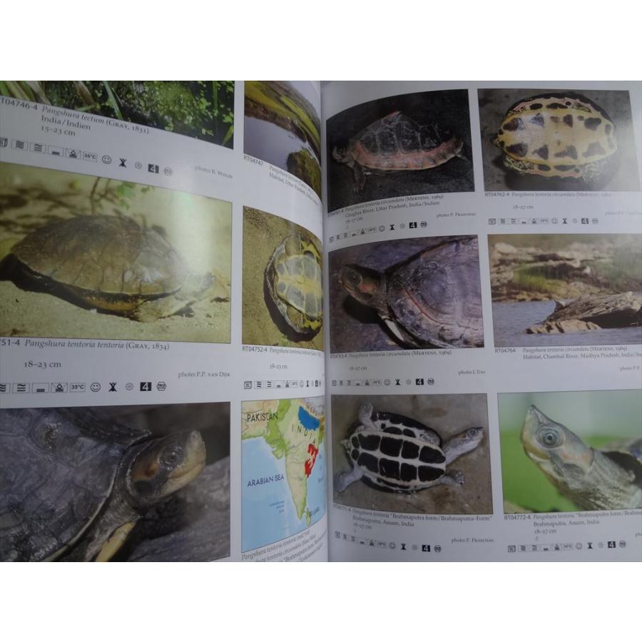 洋書 テラログ Terralog 世界の亀 Turtles of the World Vol.4 東 南