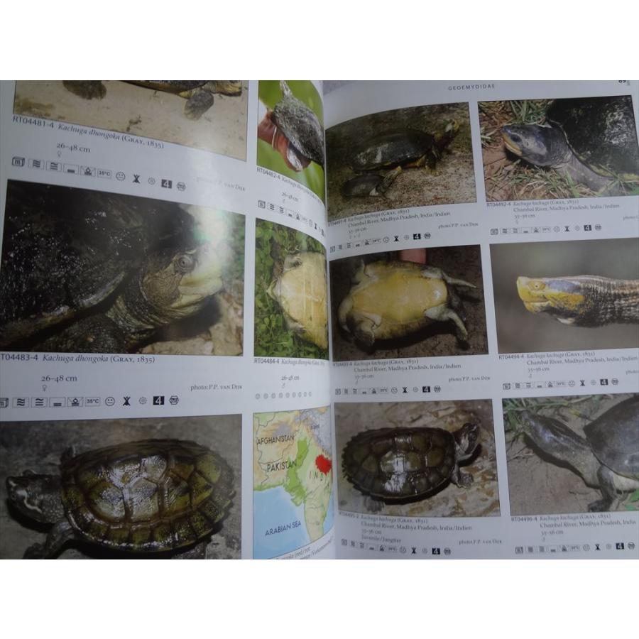 洋書 テラログ Terralog 世界の亀 Turtles of the World Vol.4 東 南