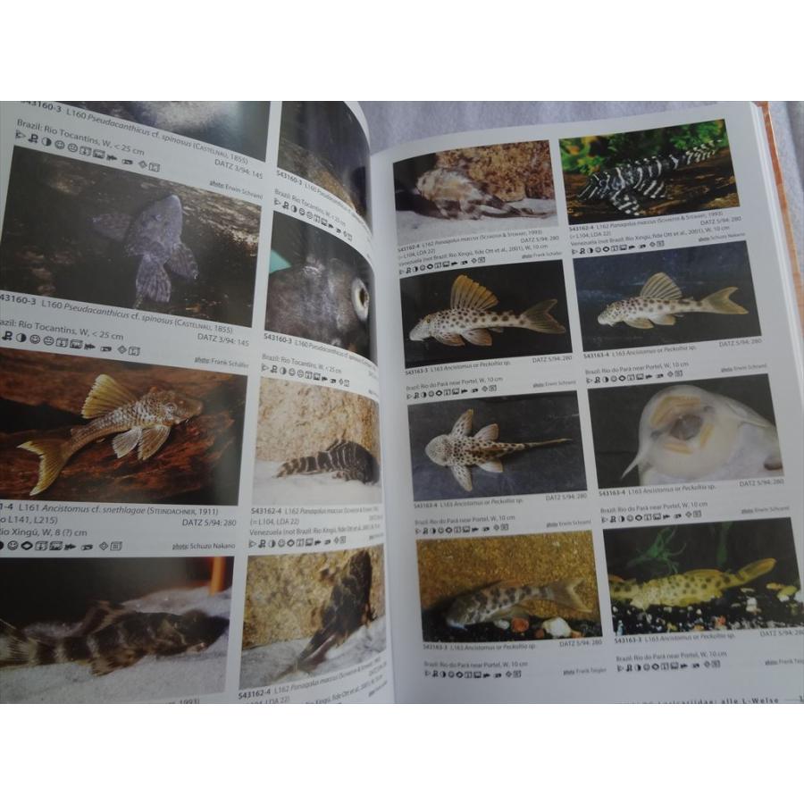 洋書 Aqualog ロリカリア Loricariidae alle L-nummern all L-numbers