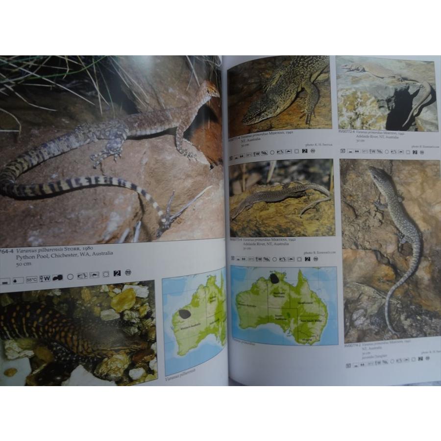 洋書 テラログ Terralog Varanoid Lizards トカゲ 爬虫類 図鑑 本 ミミナシオオトカゲ : パーツワイド - 通販 ...