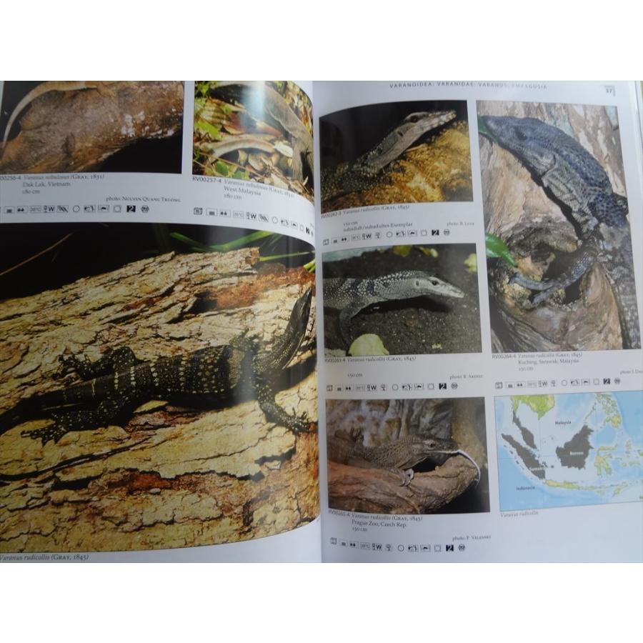 洋書 テラログ Terralog Varanoid Lizards トカゲ 爬虫類 図鑑 本 ミミナシオオトカゲ : パーツワイド - 通販 ...