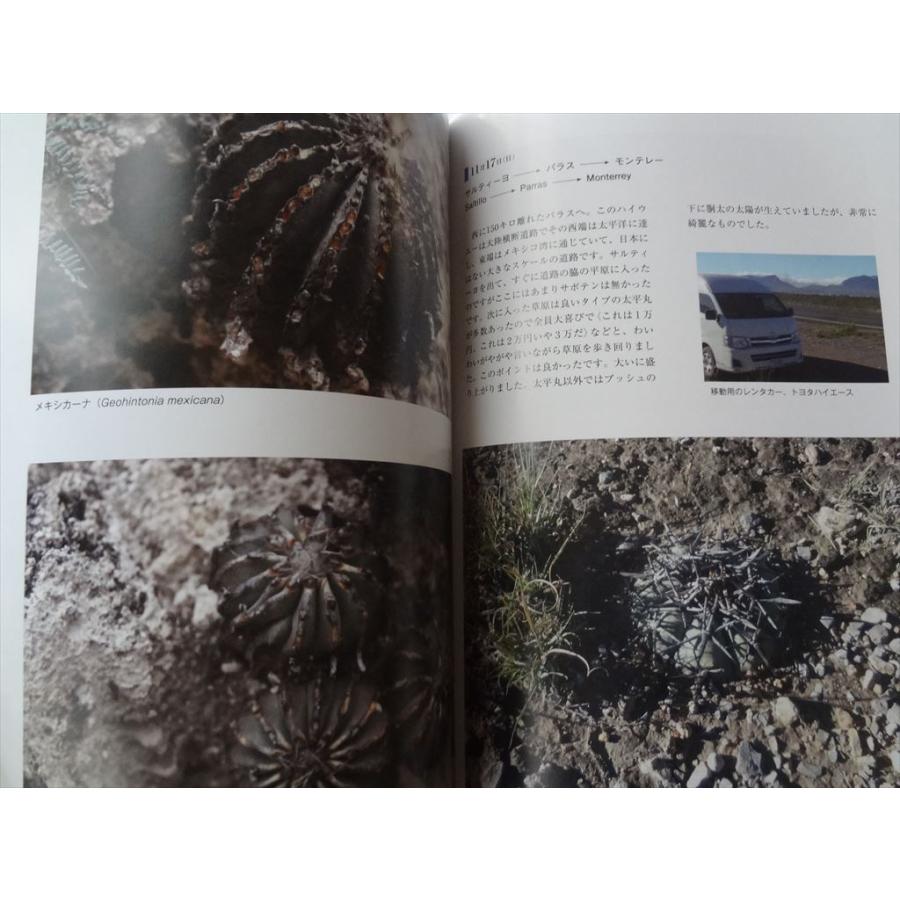 メキシコ紀行 サボテンと多肉植物を見る 図鑑 本 松原俊雄 ロフォフォラ パキフィツム 金冠龍 鯱頭 カプトメデューサ Caput Medusaeなど Awa Ecワイド 通販 Yahoo ショッピング