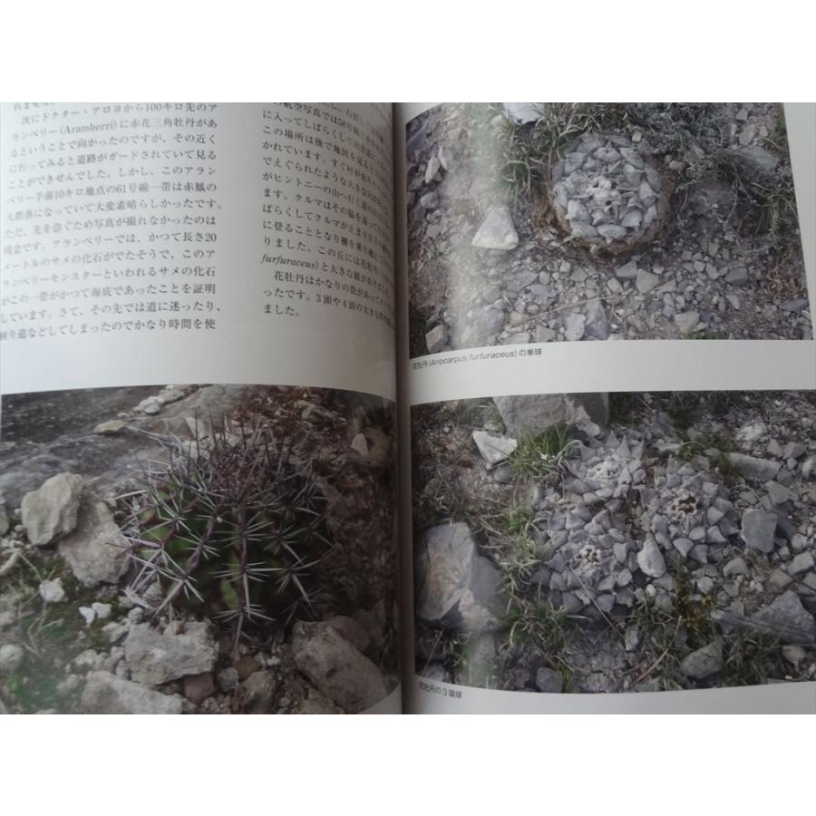 メキシコ紀行 サボテンと多肉植物を見る 図鑑 本 松原俊雄 ロフォフォラ パキフィツム 金冠龍 鯱頭 カプトメデューサ Caput Medusaeなど Awa Ecワイド 通販 Yahoo ショッピング