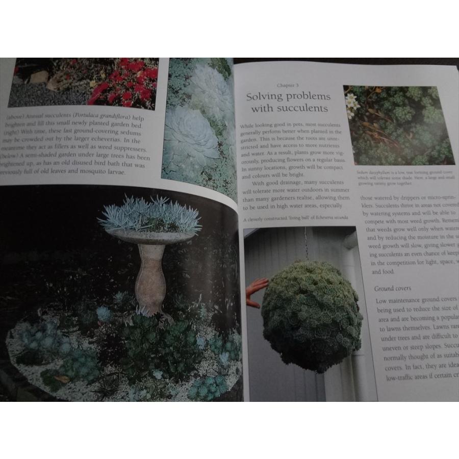 洋書 多肉植物 Succulents for the garden / bromeliads Echeveria