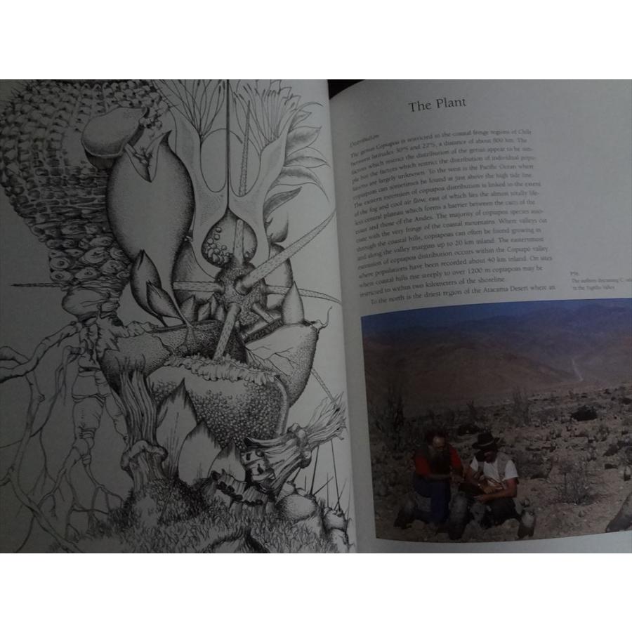 多肉植物 洋書 COPIAPOA in their Environment コピアポア