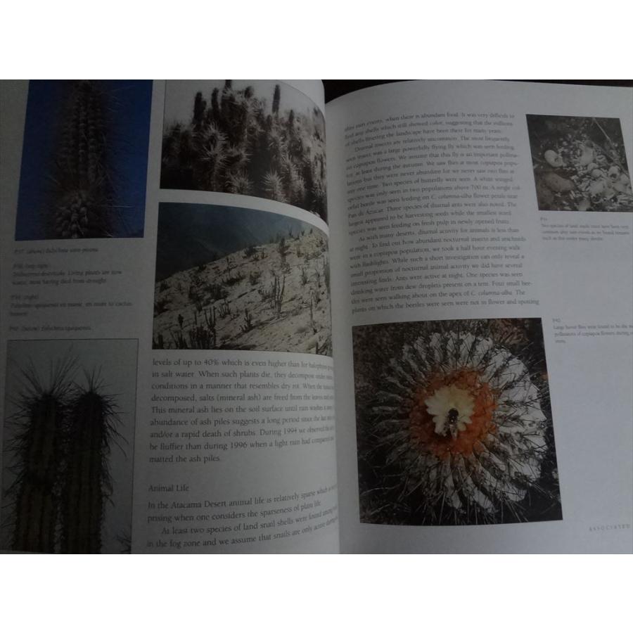 洋書　植物画　PLANTS 洋書 植物画 PLANTS - メルカリ