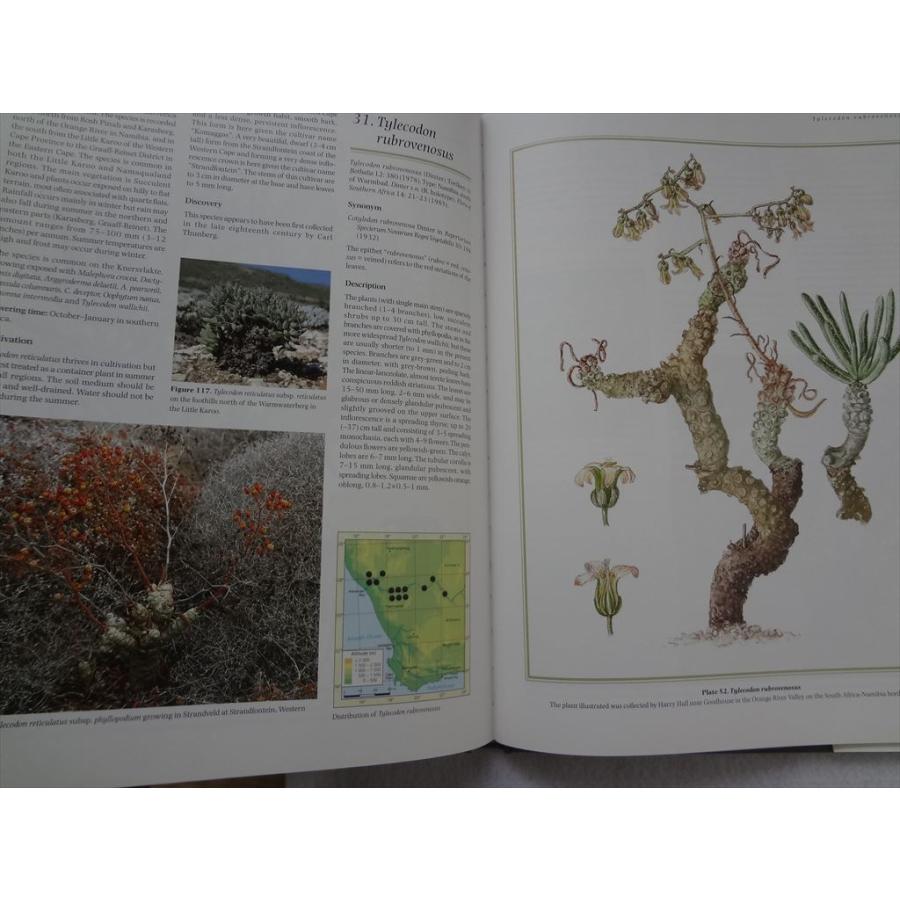 多肉植物 洋書 Cotyledon ＆ Tylecodon コチレドンとチレコドン 図鑑