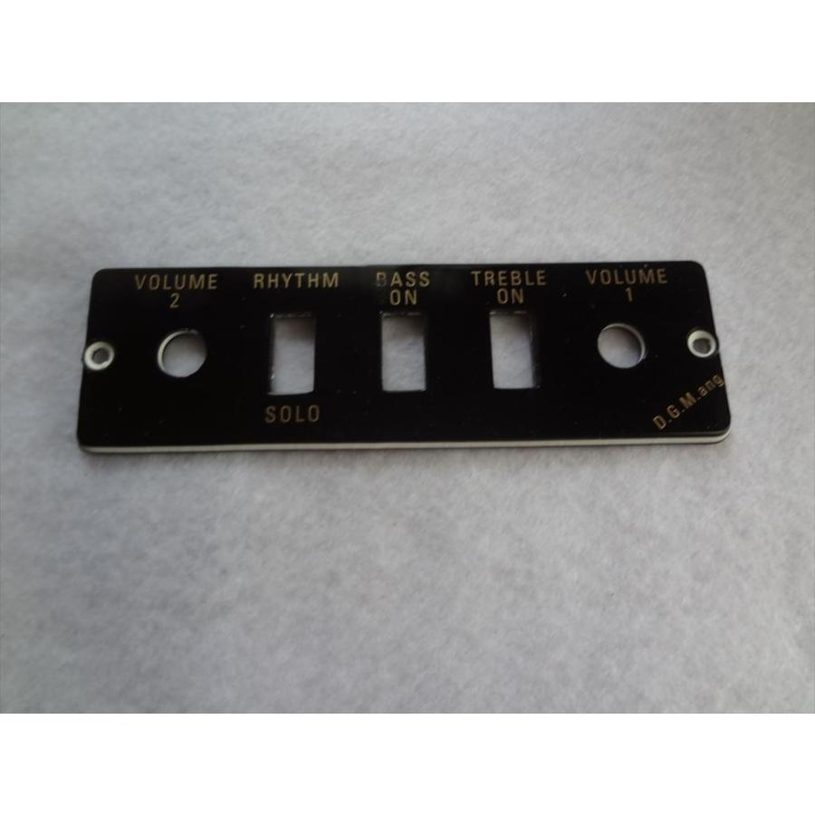 Hofner ヘフナー 純正 ギター パーツ HA2BB コントロール パネル プレート Guitar/Bass Control Panel