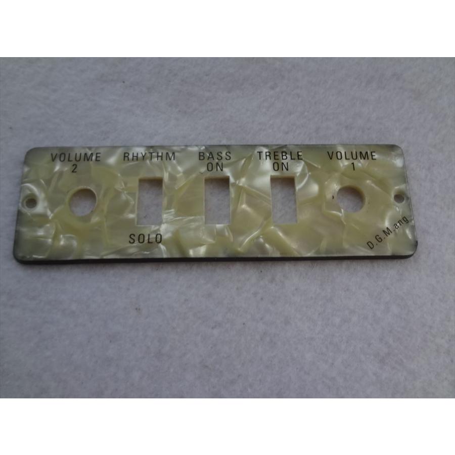 Hofner ヘフナー 純正 ギター パーツ HA2BP コントロール パネル プレート Guitar/Bass Control Panel
