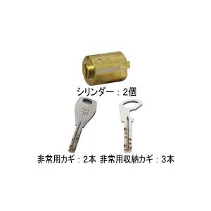 YKK AP スマートキー リモコンキー シリンダーセット YKK AP HH6K19790 新スマートコントロールキー ピタットキー用 交換