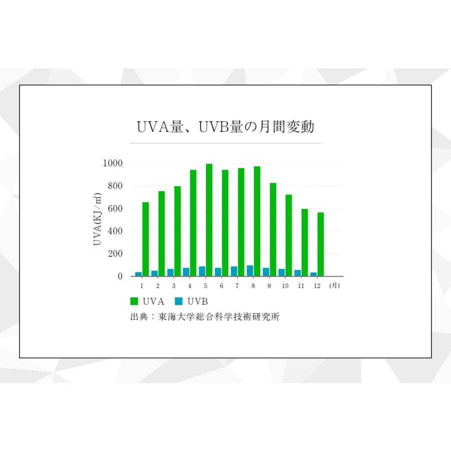 サンソリット UVlock ユーブロック 30日分 : ECXIA - 通販