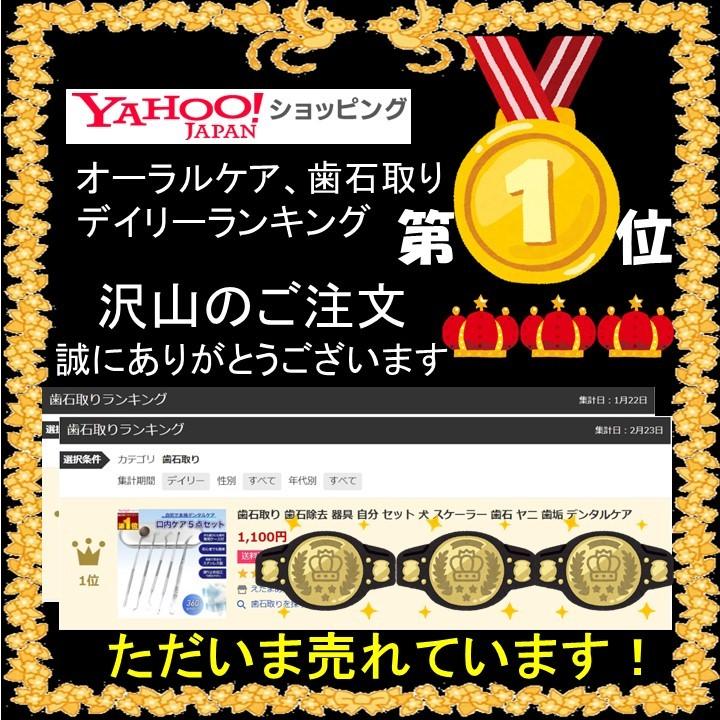 歯石取り 歯石除去 器具 自分 セット 犬 スケーラー 歯石 ヤニ 歯垢 デンタルケア 1221 Shisekitori えだまめストア365 通販 Yahoo ショッピング