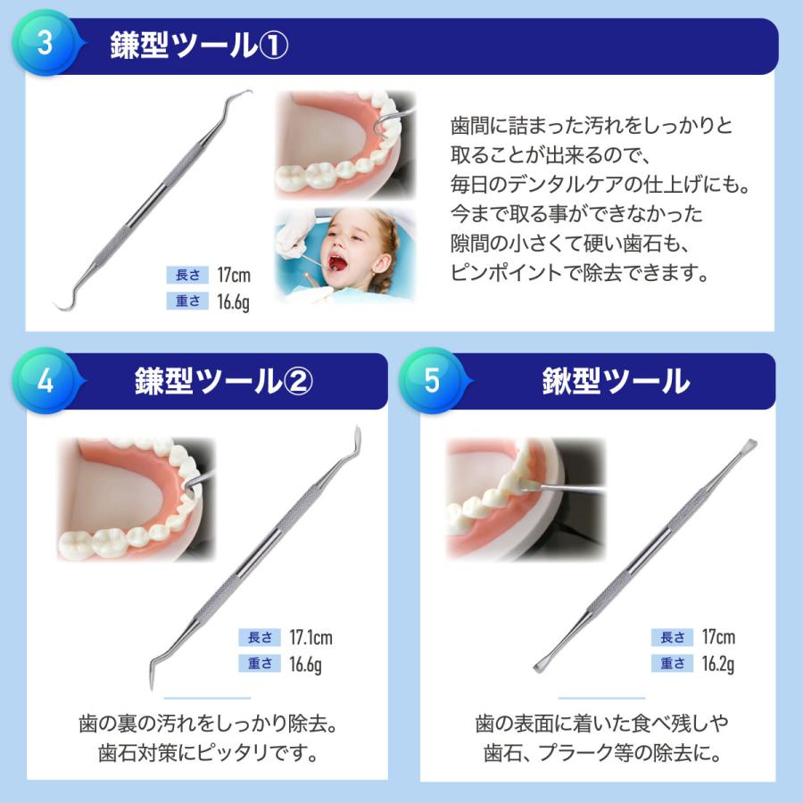 歯石取り 歯石除去 器具 自分 セット 犬 スケーラー 歯石 ヤニ 歯垢 デンタルケア 1221 Shisekitori えだまめストア365 通販 Yahoo ショッピング