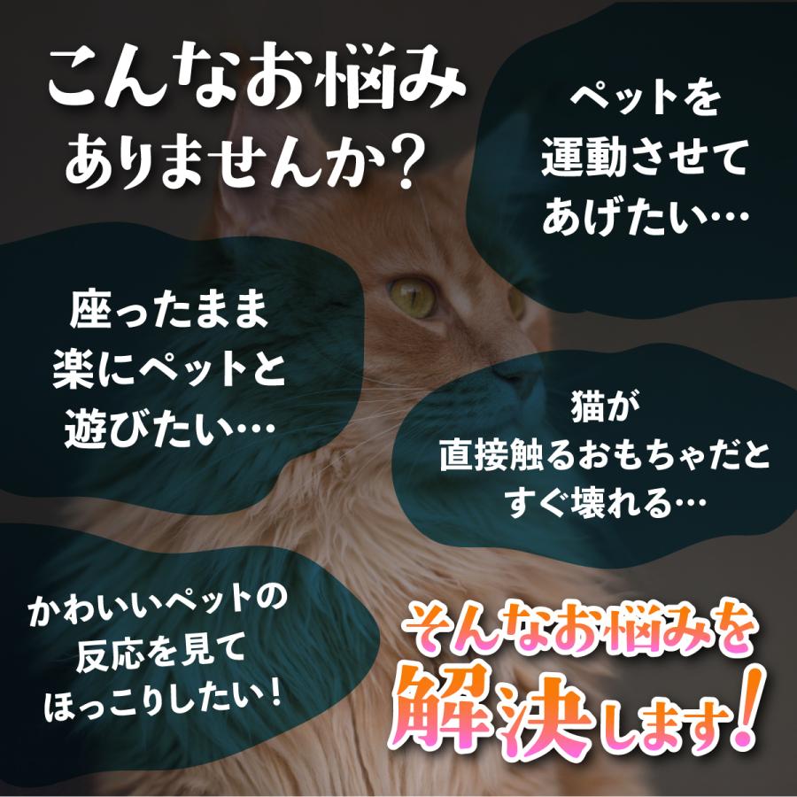 猫 ねこ おもちゃ 自動 ねずみ ネズミ 動く ペット用品 猫用 犬 おしゃれ Led 猫じゃらし レーザー ポインター Nekoyoupointer えだまめストア365 通販 Yahoo ショッピング