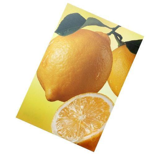 ポストカード[Frutteria] レモン