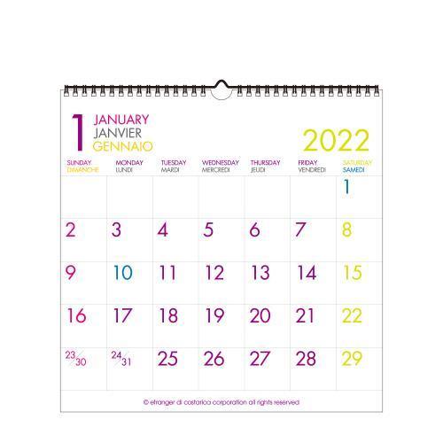 カレンダー 壁掛け Lp 22年 購買 1月始まり ホワイト 書き込み シンプル 公式通販サイト