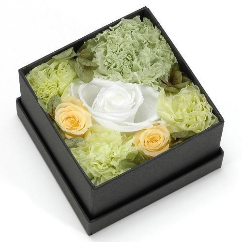プリザーブドフラワー グリーン ボックス S プレゼント 記念日 公式通販サイト 0305 Pf1 Ss 004 エトランジェディコスタリカ 通販 Yahoo ショッピング